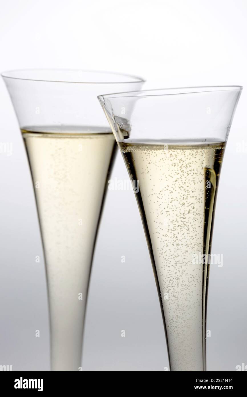 Champagner oder Sekt in einem Sektglas. Symbolisches Foto für Feierlichkeiten, die Jahreswende und gute Laune Österreich Stockfoto Champagner oder Sekt in einem Sektglas. Symbolisches Foto für Feierlichkeiten, die Jahreswende und gute Laune Österreich Stockfoto