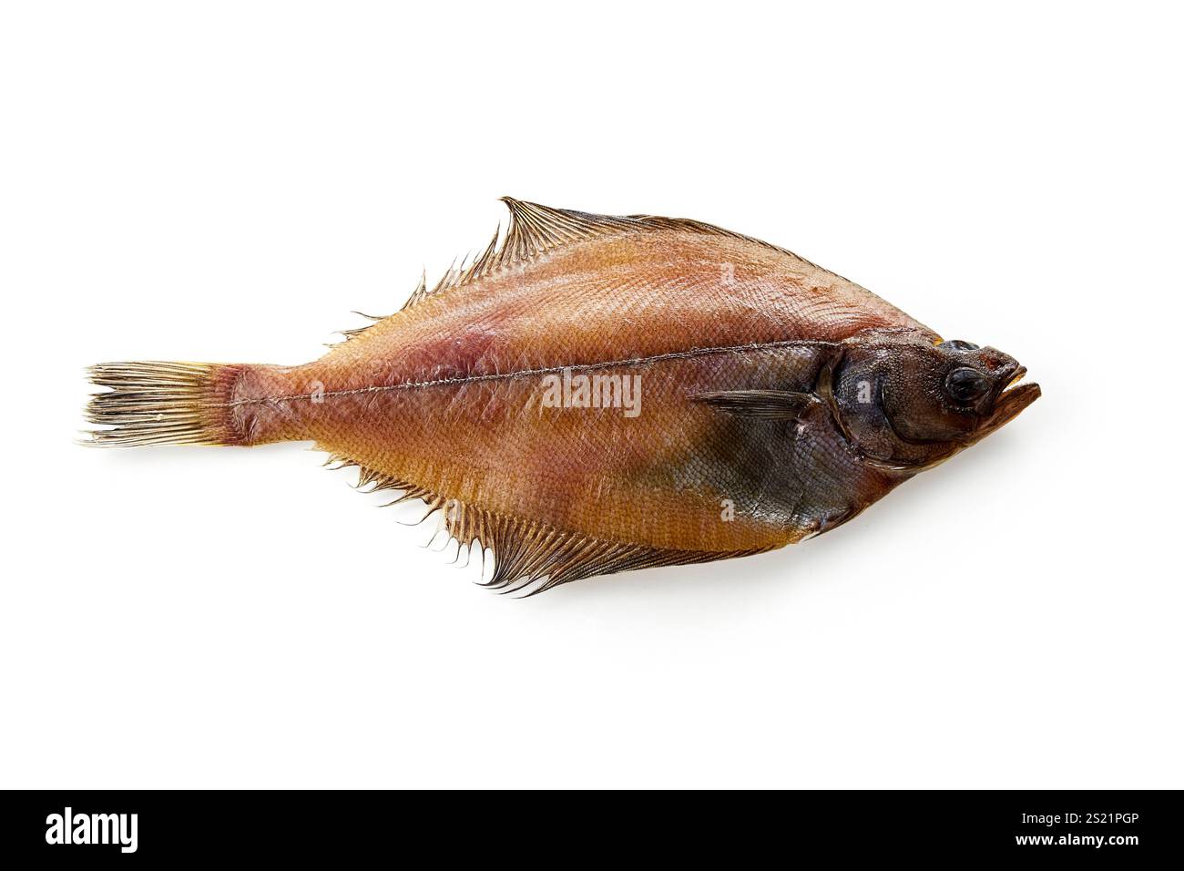 Getrocknete Plattfische (getrocknete Plattfische) Stockfoto