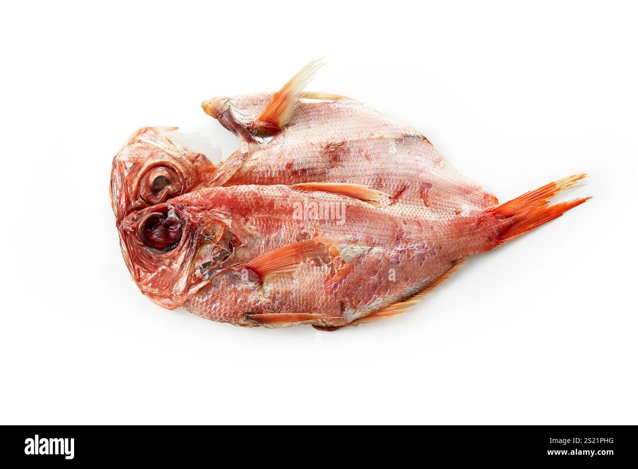 Getrockneter roter Schnapper Stockfoto