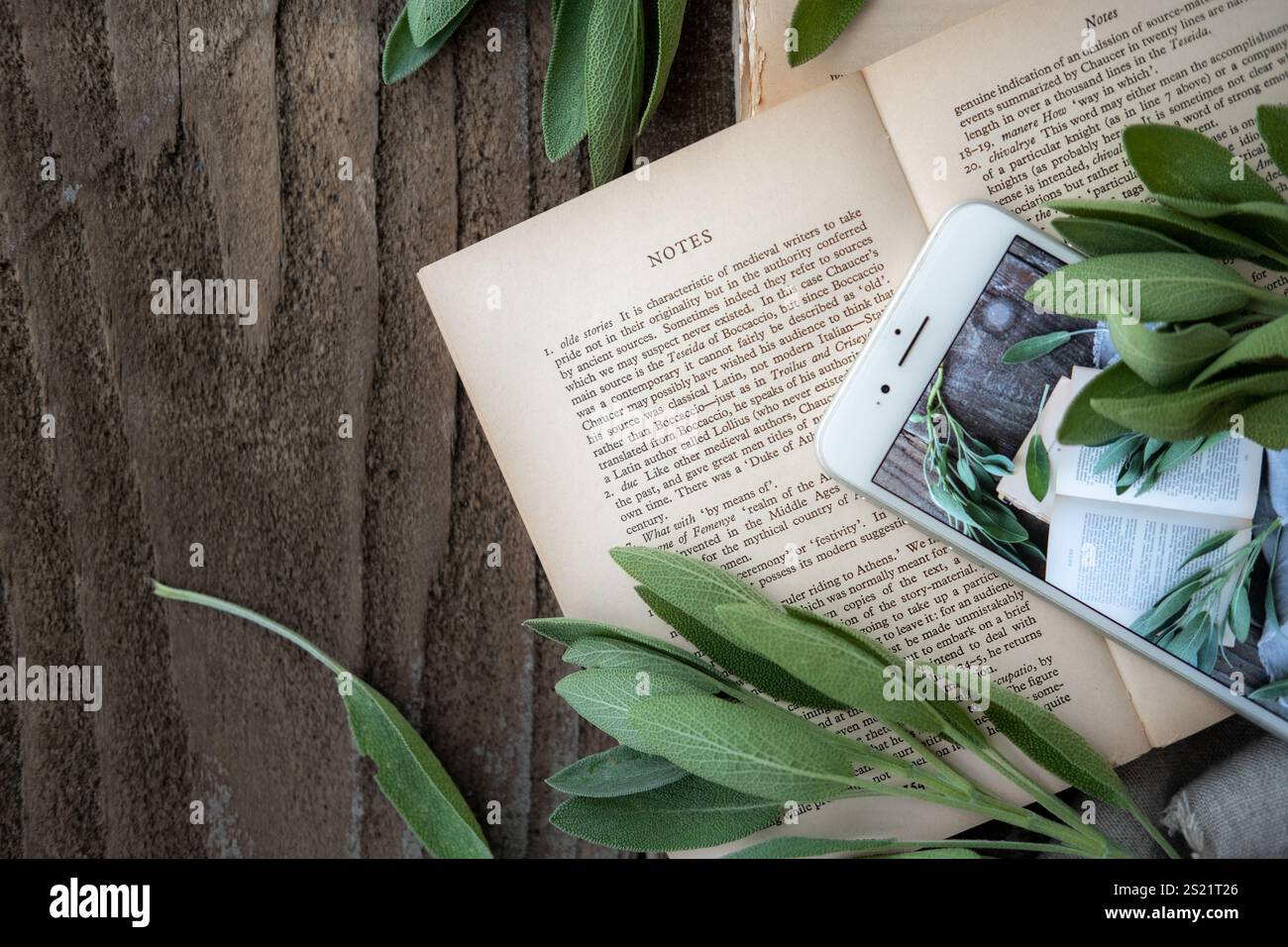 Westliche Bücher, Kräuter und Smartphones auf einem alten Holztisch Stockfoto
