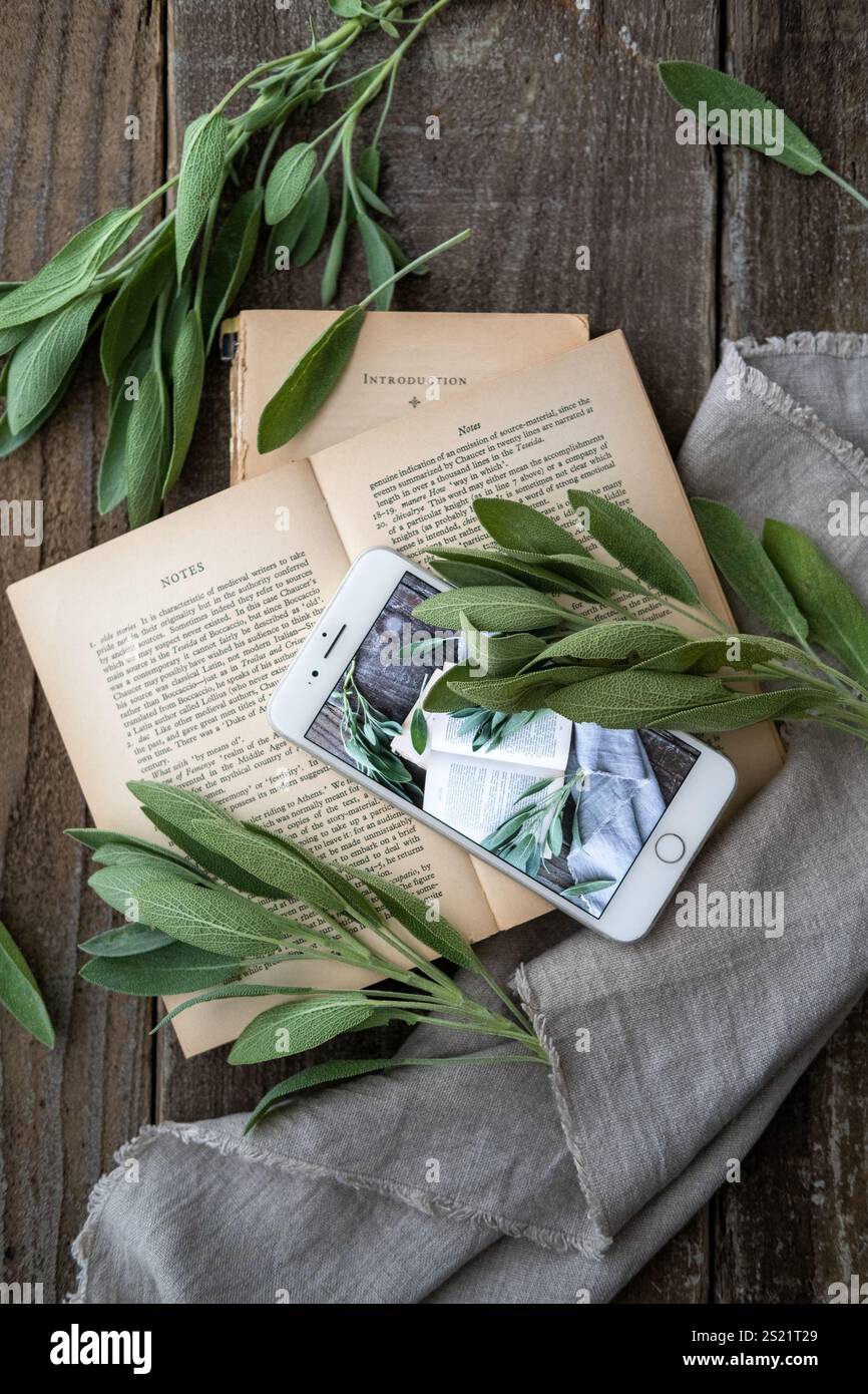 Westliche Bücher, Kräuter und Smartphones auf einem alten Holztisch Stockfoto