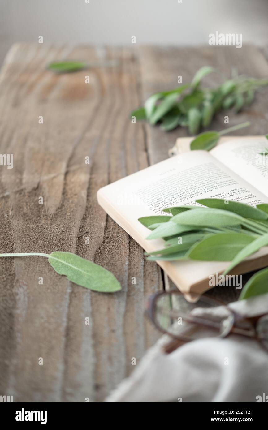 Westliche Bücher, Kräuter und Smartphones auf einem alten Holztisch Stockfoto