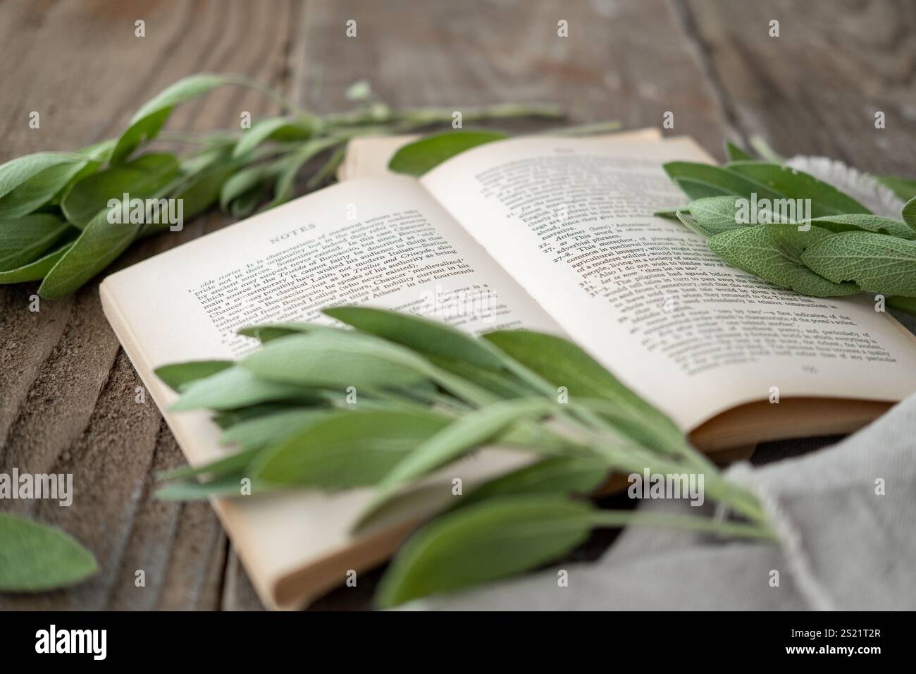 Westliche Bücher, Kräuter und Smartphones auf einem alten Holztisch Stockfoto
