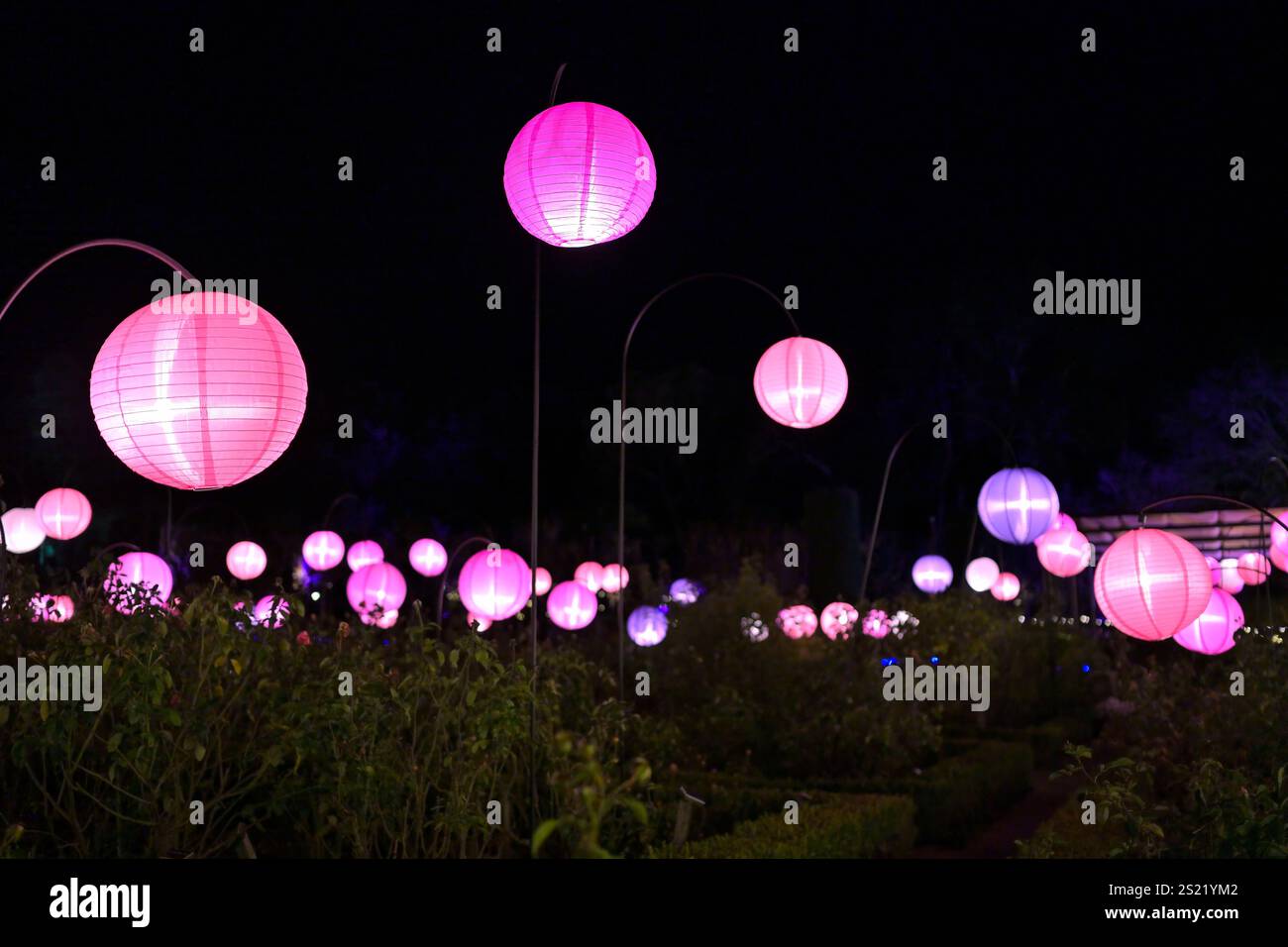 Die glitzernden Lichter im Filoli Estate während der Festtage, Woodside CA Stockfoto