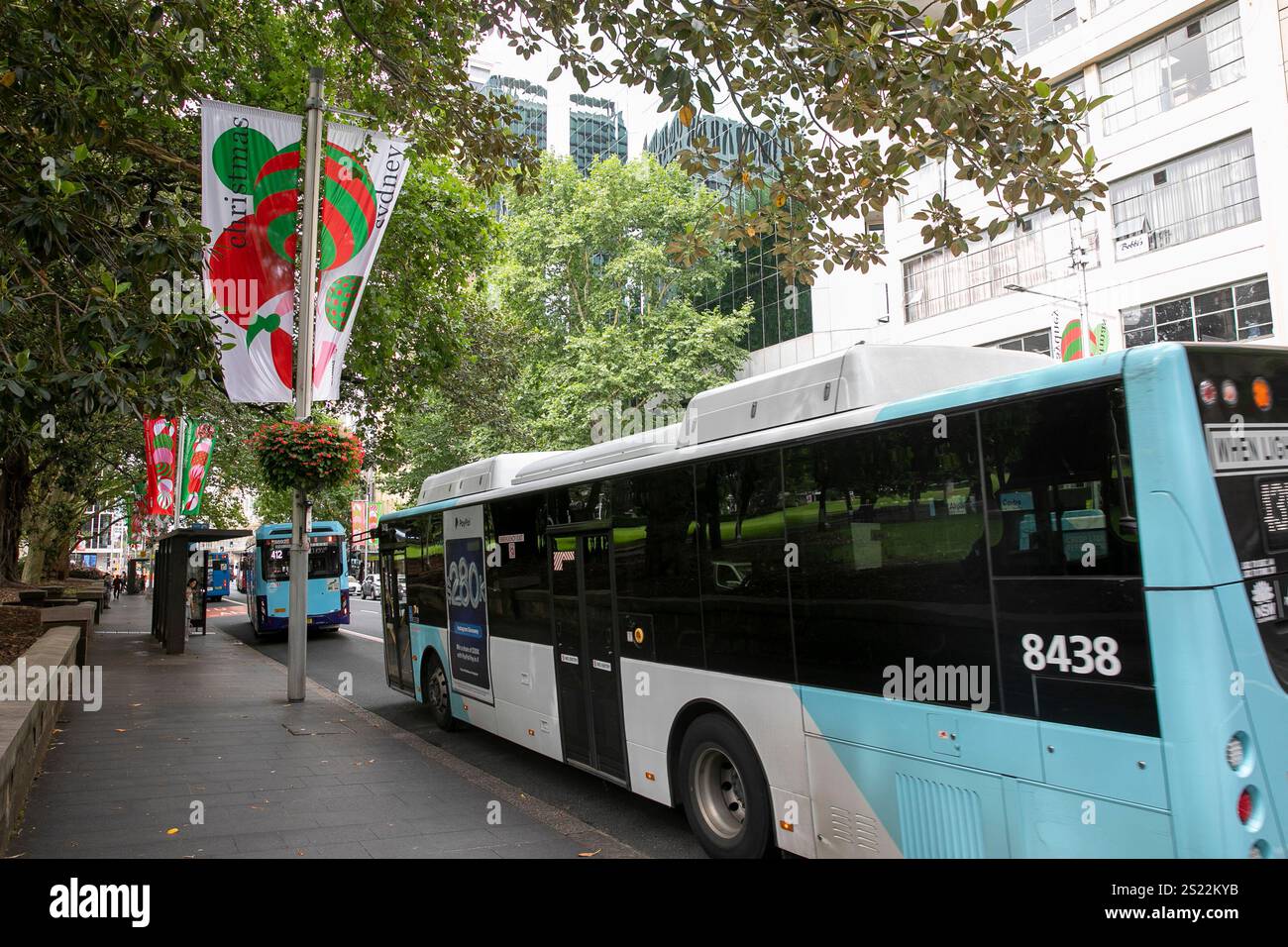 Sydney Busse Bus im Elizabeth sgtreetin Sydney Stadtzentrum mit council christmas Banner wünschen allen frohe weihnachten, NSW, Australien Stockfoto