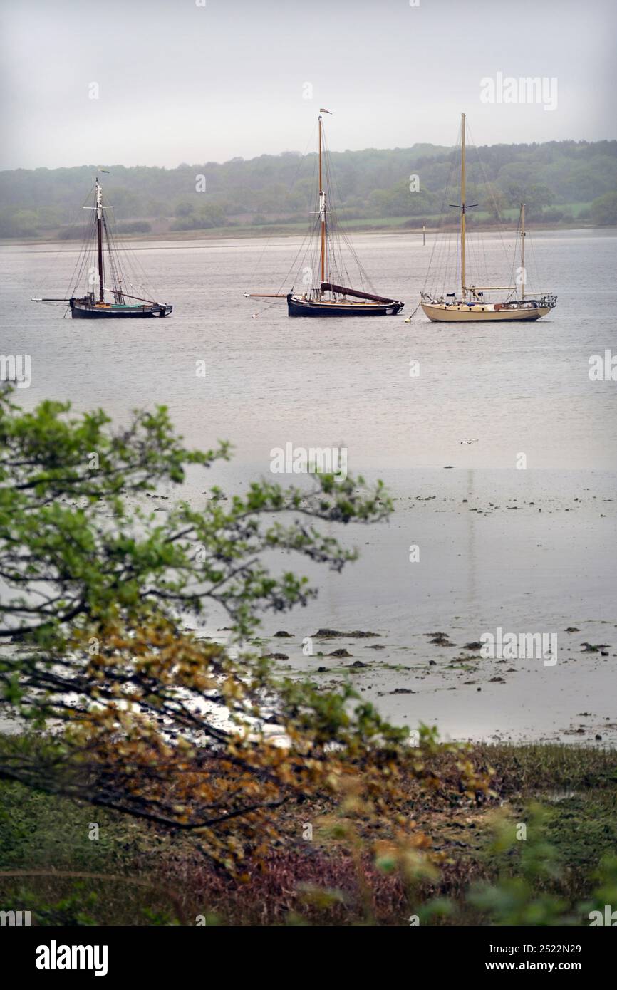 Traditionelle Segelboote auf schwingenden Anlegestellen in der Pinmühle am Fluss orwell suffolk england Stockfoto