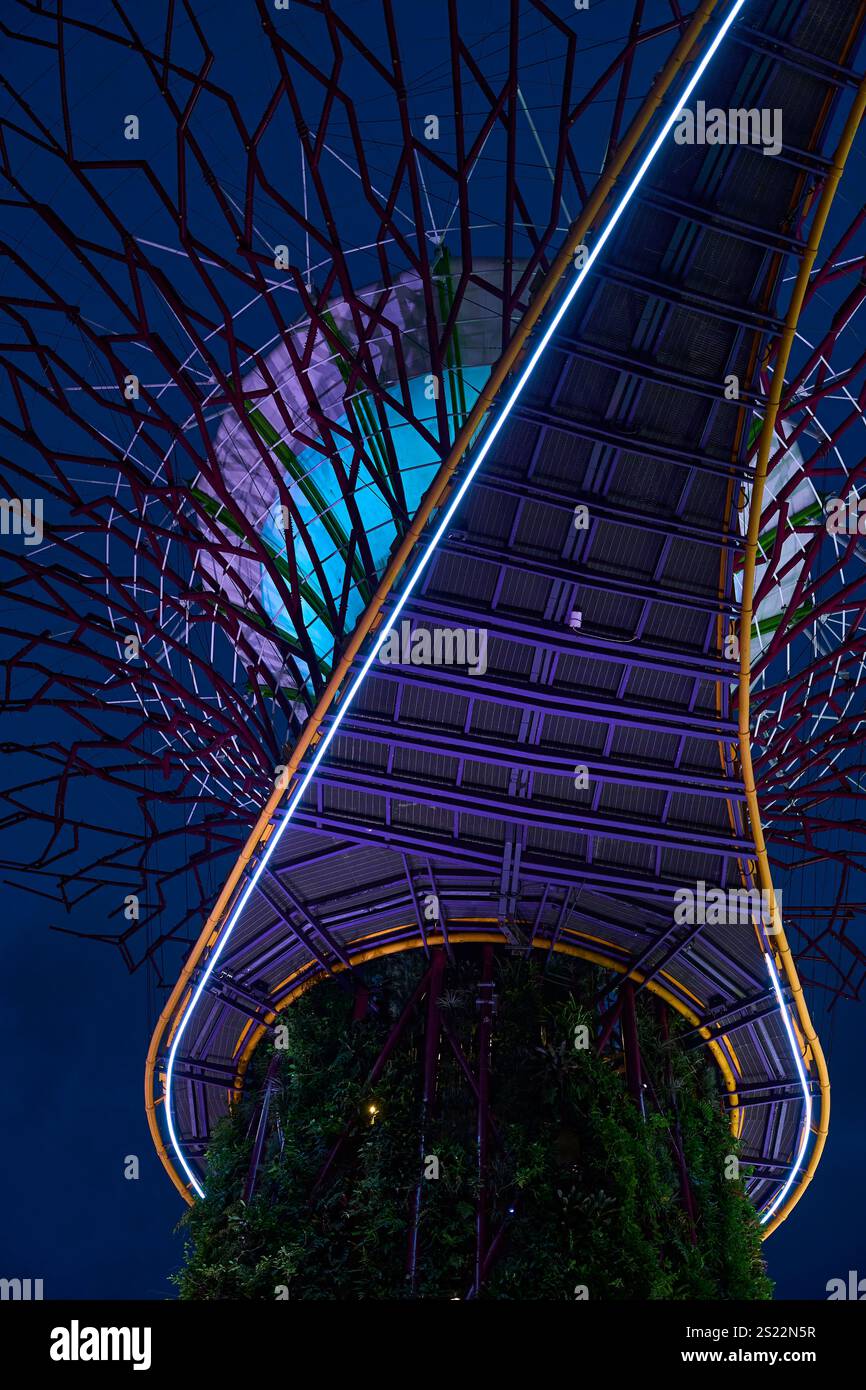 Flacher Blick auf den futuristischen Superbaumhain, beleuchtet bei Nacht, mit leuchtenden Farben und kompliziertem Design Stockfoto