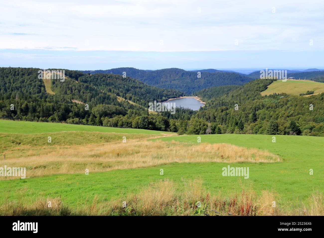 Landschaftsblick an der Route des Cretes im Elsass, Vogesen in Frankreich im Sommer Stockfoto