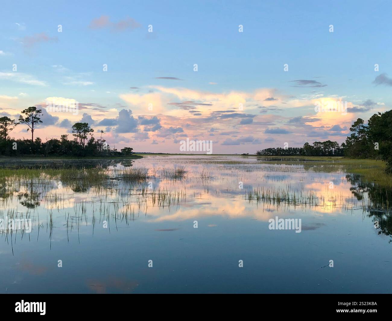 Zuckerwattenhimmel bei Sonnenuntergang über einem Sumpf des lowcountry Stockfoto