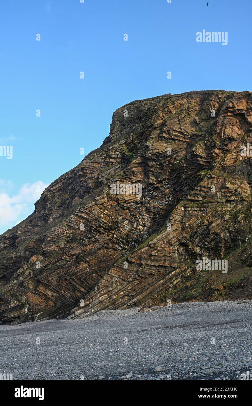 Gefaltete Gesteinsschichten, Millook Haven, Nord-Cornwall, Großbritannien. Karbon-Sandsteine und Schlammsteine. Stockfoto