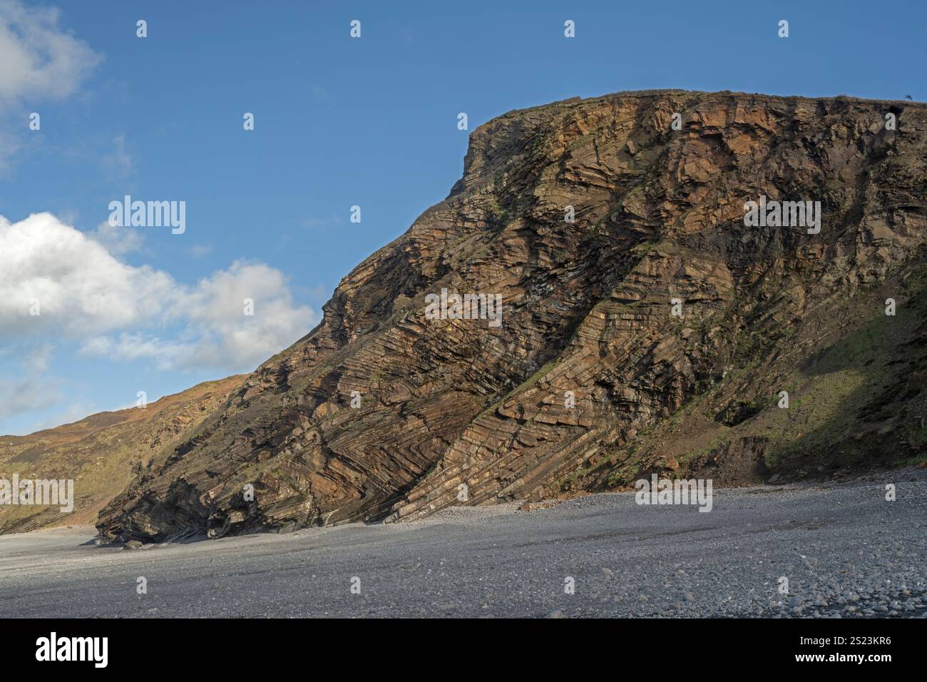 Gefaltete Gesteinsschichten, Millook Haven, Nord-Cornwall, Großbritannien. Karbon-Sandsteine und Schlammsteine. Stockfoto