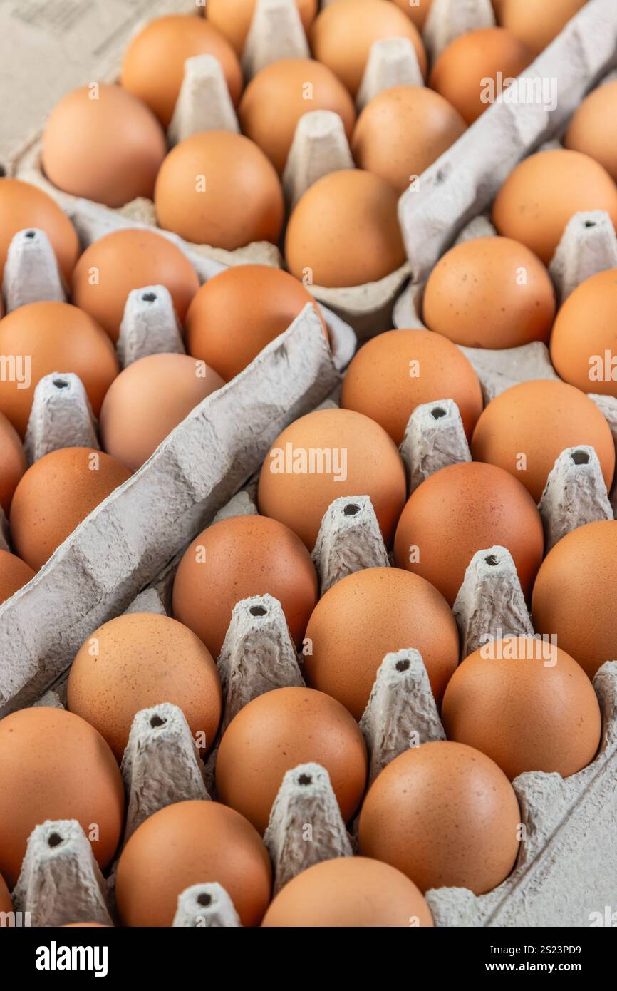 Bio-braune Eier in Kartonschale Stockfoto