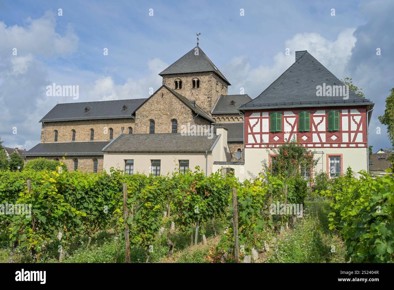 Basilika St. Aegidius Mittelheim, Oestrich-Winkel, Rheingau-Taunus-Kreis, Hessen, Deutschland *** Basilika St. Aegidius Mittelheim, Oestrich Winkel, Rheingau Taunus Kreis, Hessen, Deutschland Stockfoto