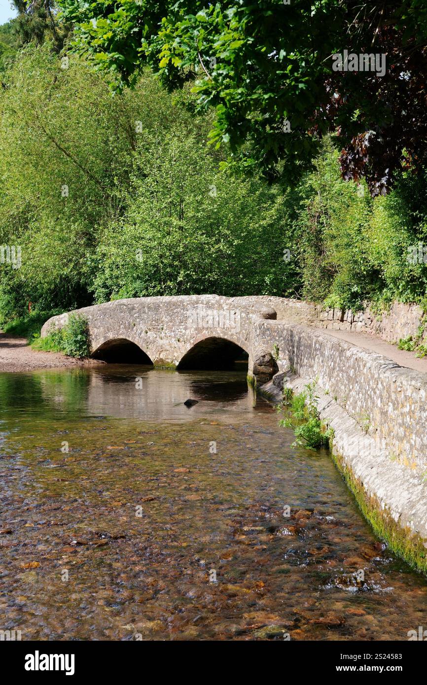 Gallox Bridge ( mittelalterliche Packhorse Bridge ) über den Fluss Avill, Dunster, Exmoor National Park, Somerset, England, Großbritannien im Frühjahr Stockfoto