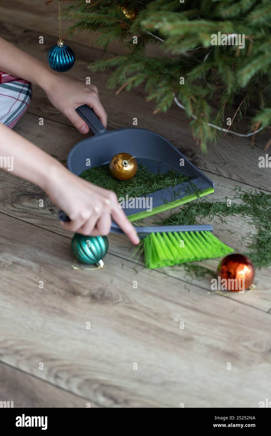 Mädchen fegt nach Neujahrsferien gefallene Fichtennadeln auf, Nadeln fallen vom Neujahrsbaum, Chaos in der Wohnung Stockfoto