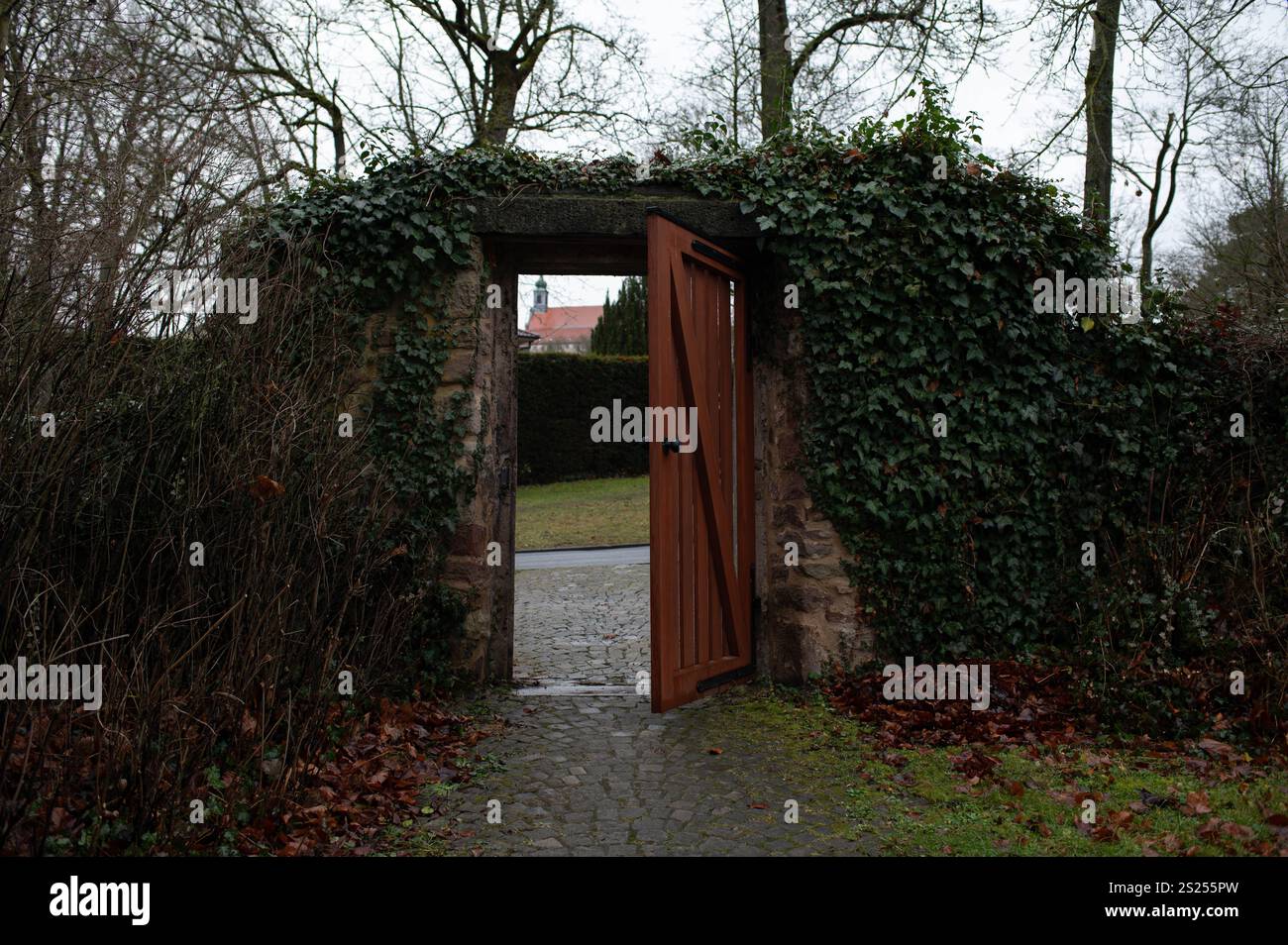 Rustikales Gartentor (Tür) eingerahmt von Ivy in einer ruhigen Winterumgebung. Stockfoto
