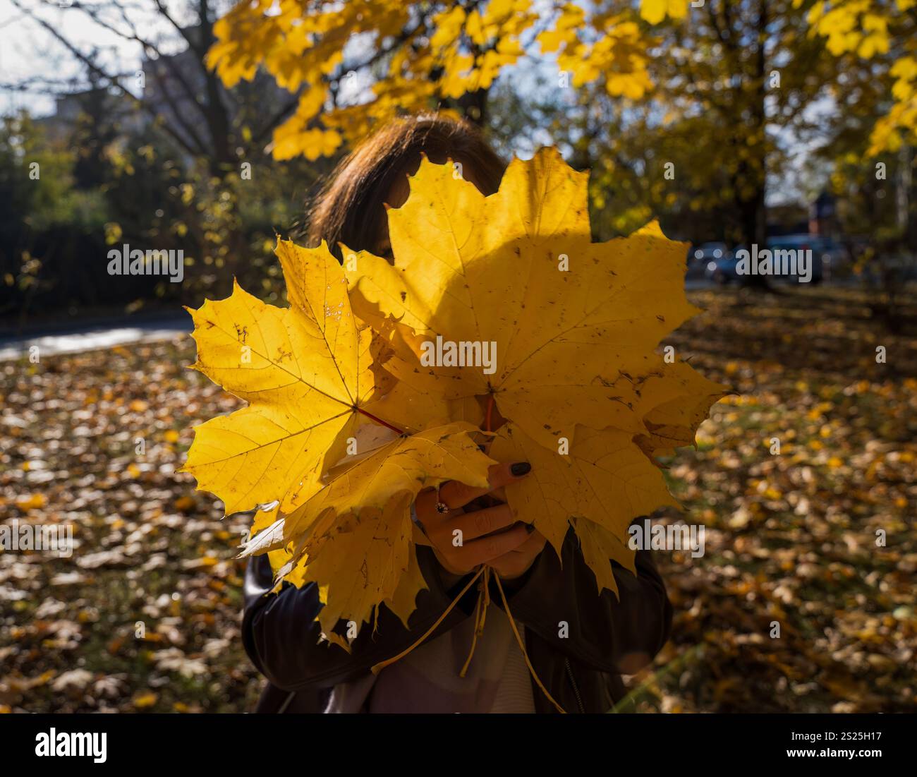 Eine Person versteckt sich spielerisch hinter einem Blumenstrauß aus goldenen Herbstblättern. Das Bild weckt kindliches Staunen und die Schönheit der Herbstsaison. Stockfoto