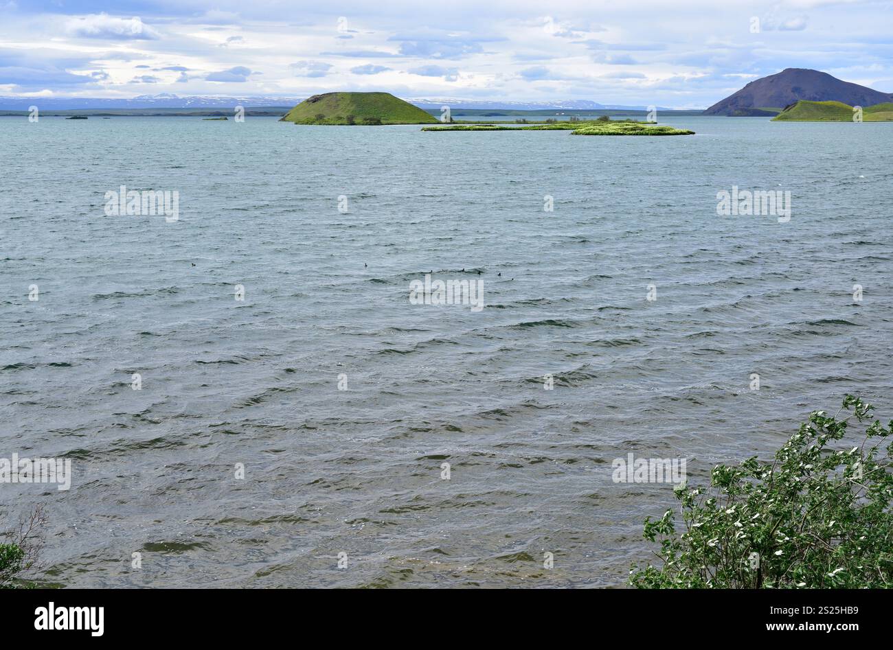 Der Myvatn-See mit Pseudo-Kratern unten. Island. Stockfoto