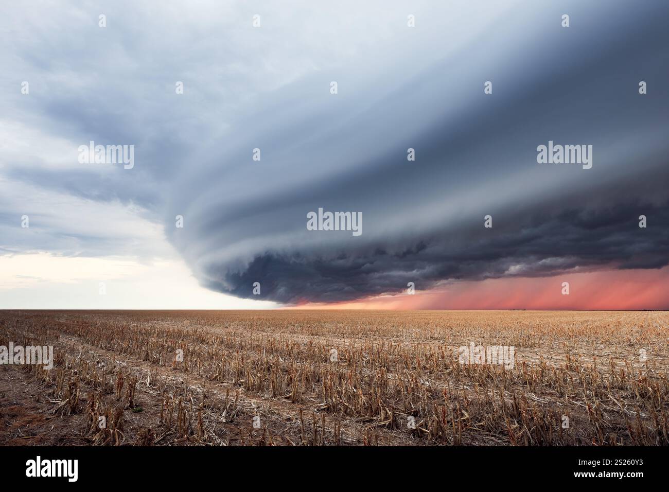 Dramatische Regalwolke über einem Feld in Kansas Stockfoto