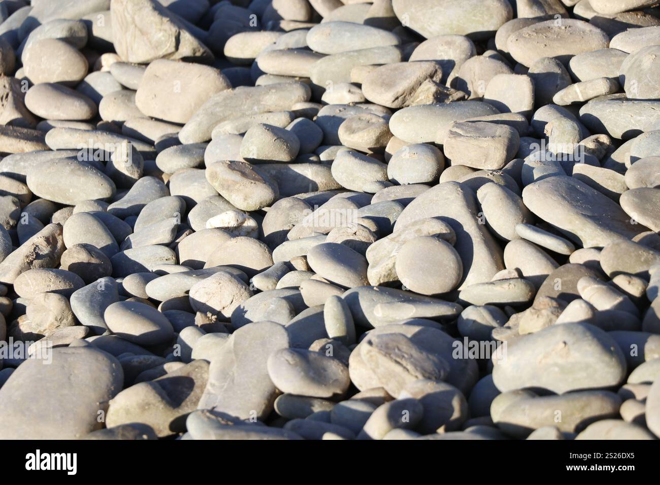 Kiesel und Steine an einem Strand in der Sonne. Stockfoto