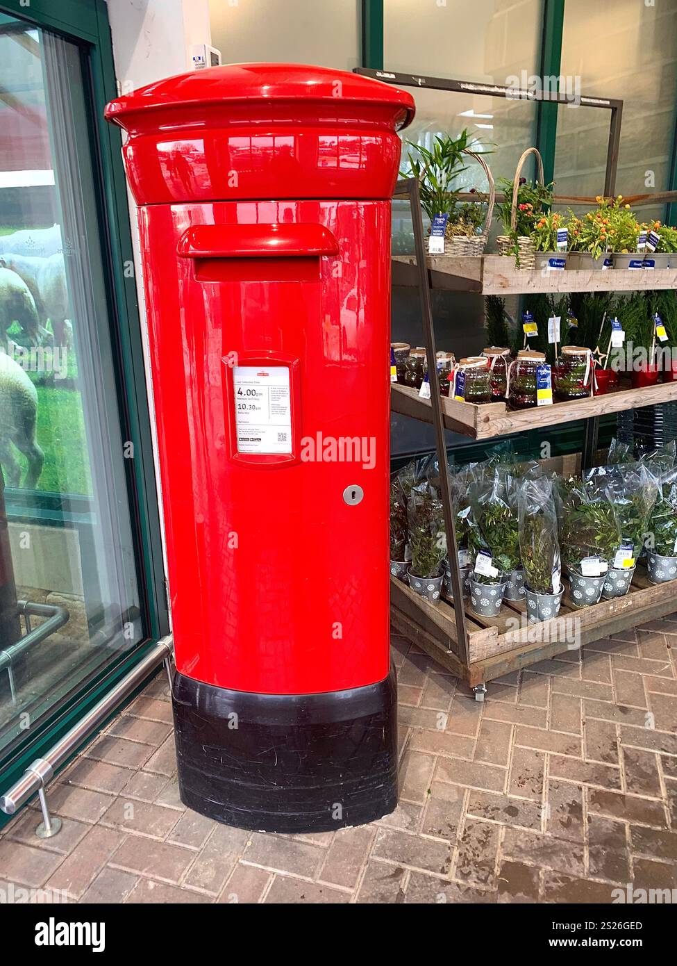 Einkaufen einkaufen Lebensmittel Postfach Burger King Morrisons Essen Essen Essen Essen Essen Essen Postfach rote Post Sammeln Sie die Shopper Dame in der Bank, stellen Sie die Leute an die Kassen - Smartphone-aufgenommenes Stockfoto