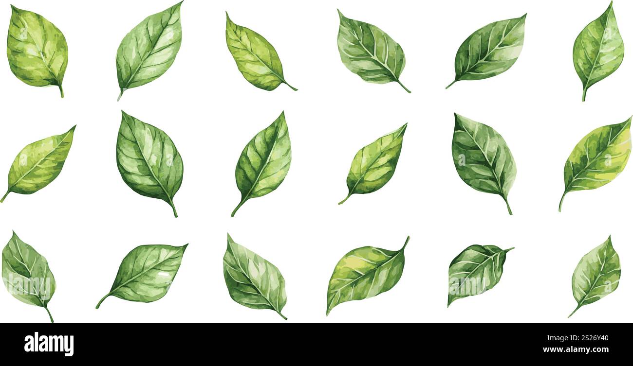 Nahtloses Muster mit frischen bunten Blumen Stock Vektor