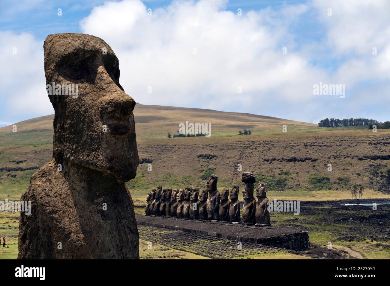Ein einzelner Moai steht am Eingang zu Ahu Tongariki, dem größten Monument der Osterinsel mit 15 stehenden Moai-Statuen. Stockfoto