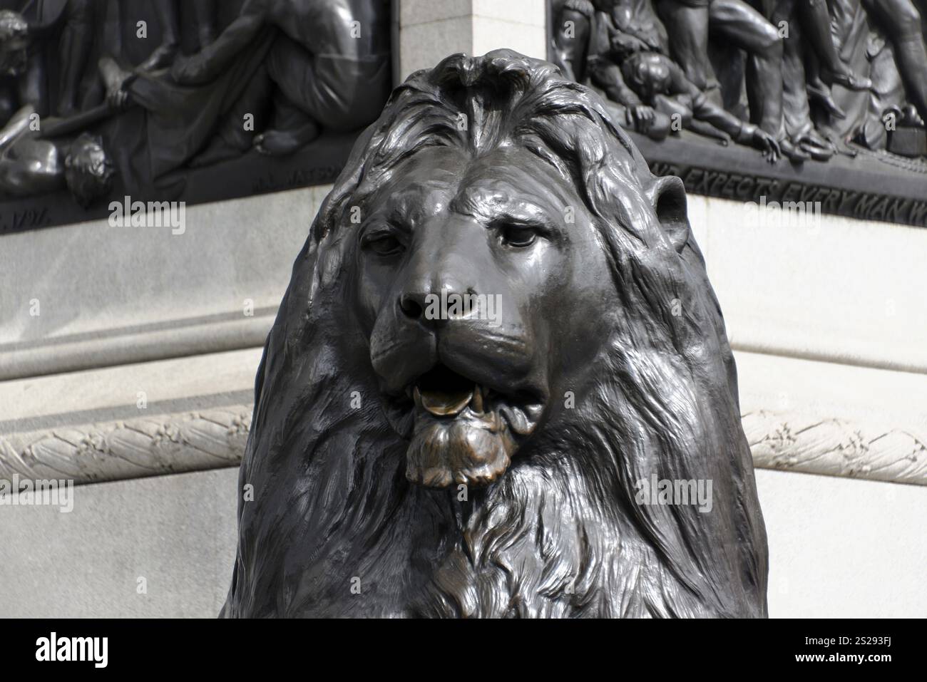 Detail, Löwenstatue, Trafalgar Square, London, London, London Region, Nahaufnahme einer riesigen Marmorlöwe Statue mit verzierten Details, London, London reg Stockfoto