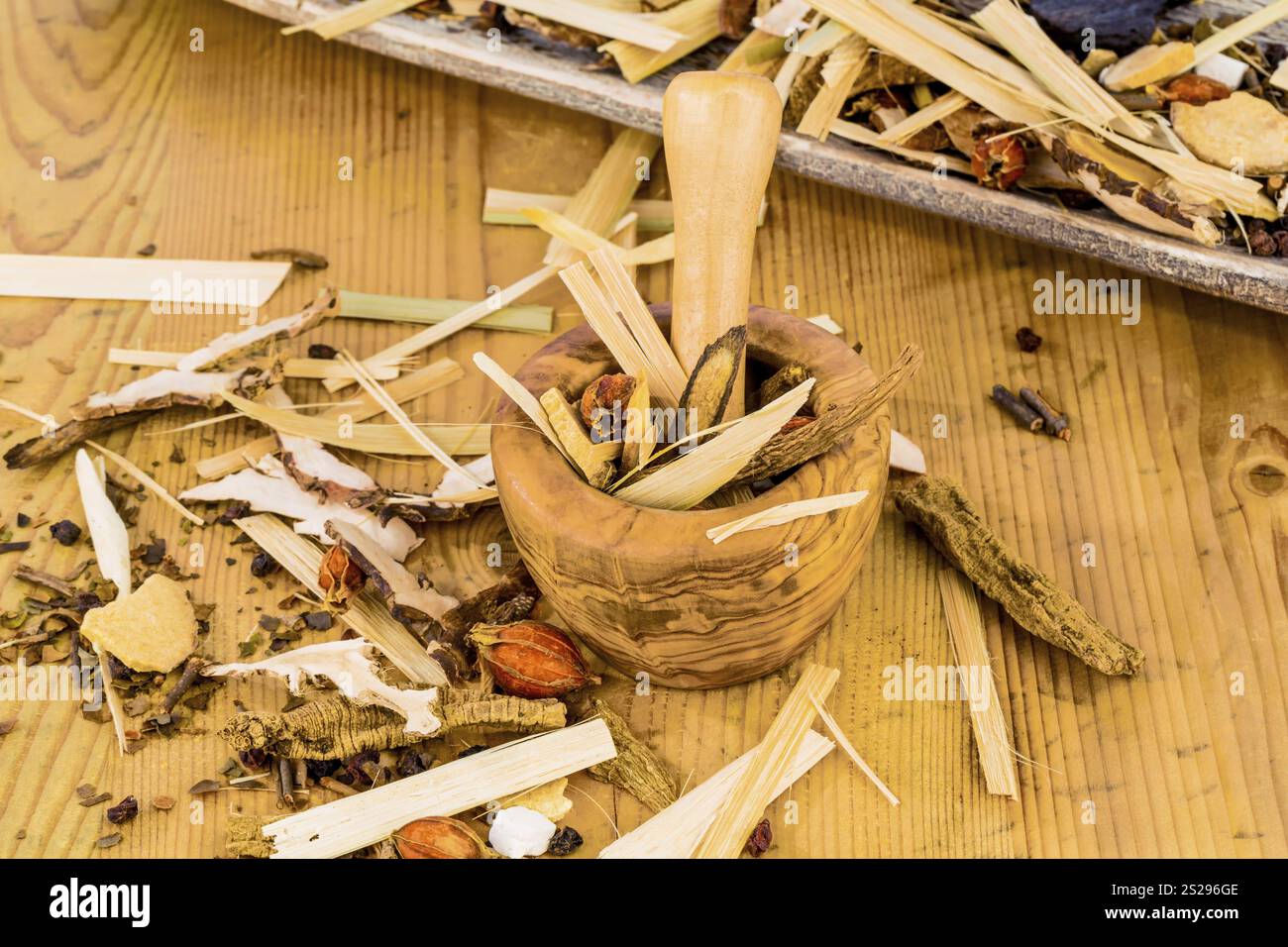 Zutaten für einen Tee in der traditionellen chinesischen Medizin. Heilung von Krankheiten durch alternative Methoden Stockfoto