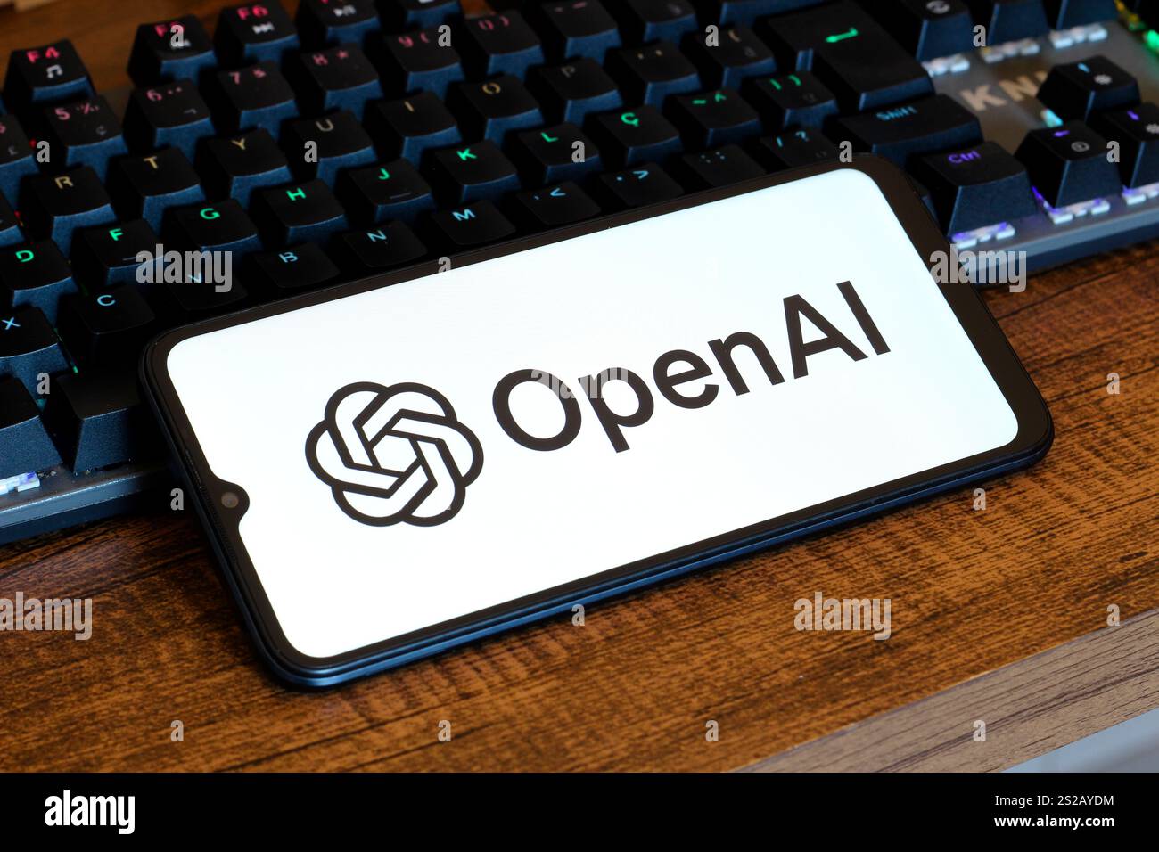Kanada. Januar 2025. In dieser Fotoabbildung wird das OpenAI-Firmenlogo auf einem Smartphone-Bildschirm angezeigt. Quelle: SOPA Images Limited/Alamy Live News Stockfoto