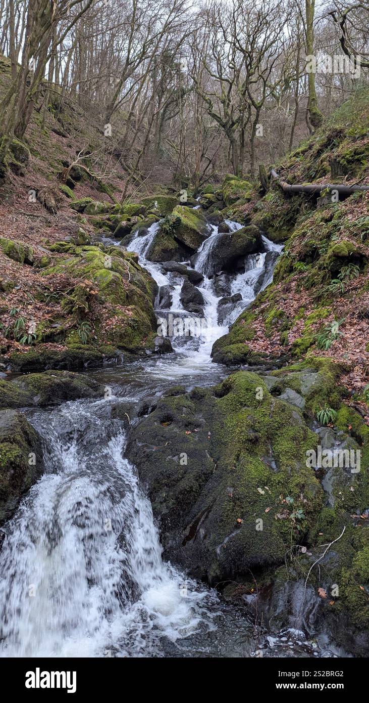 Ein malerisches Bild eines Wasserfalls, der in Nordwales durch einen moosigen Waldgrund stürzt - Smartphone-aufgenommenes Stockfoto