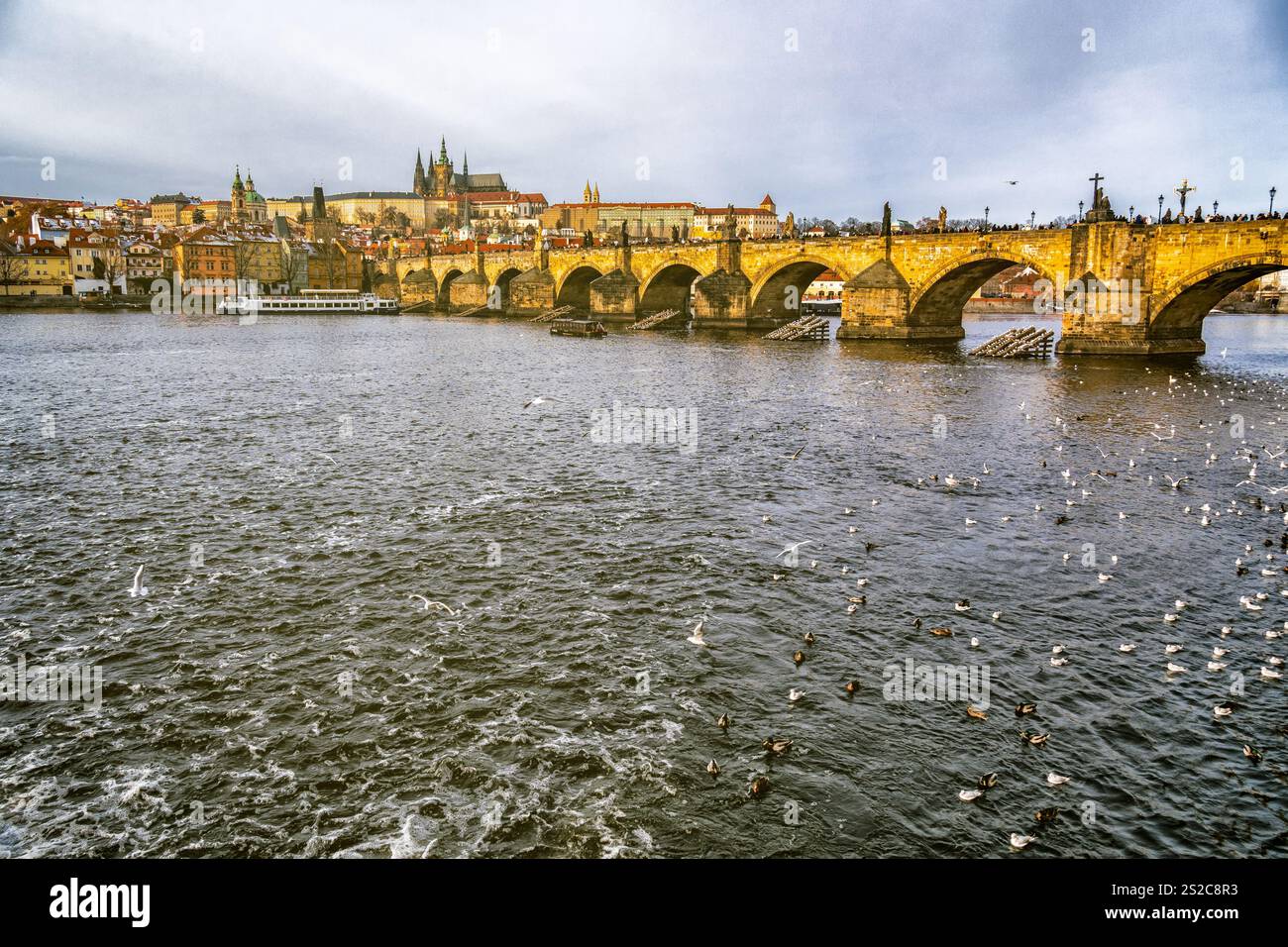 Berühmte Karlsbrücke und Prager Burg mit Moldau und Möwen an einem bewölkten Tag Stockfoto