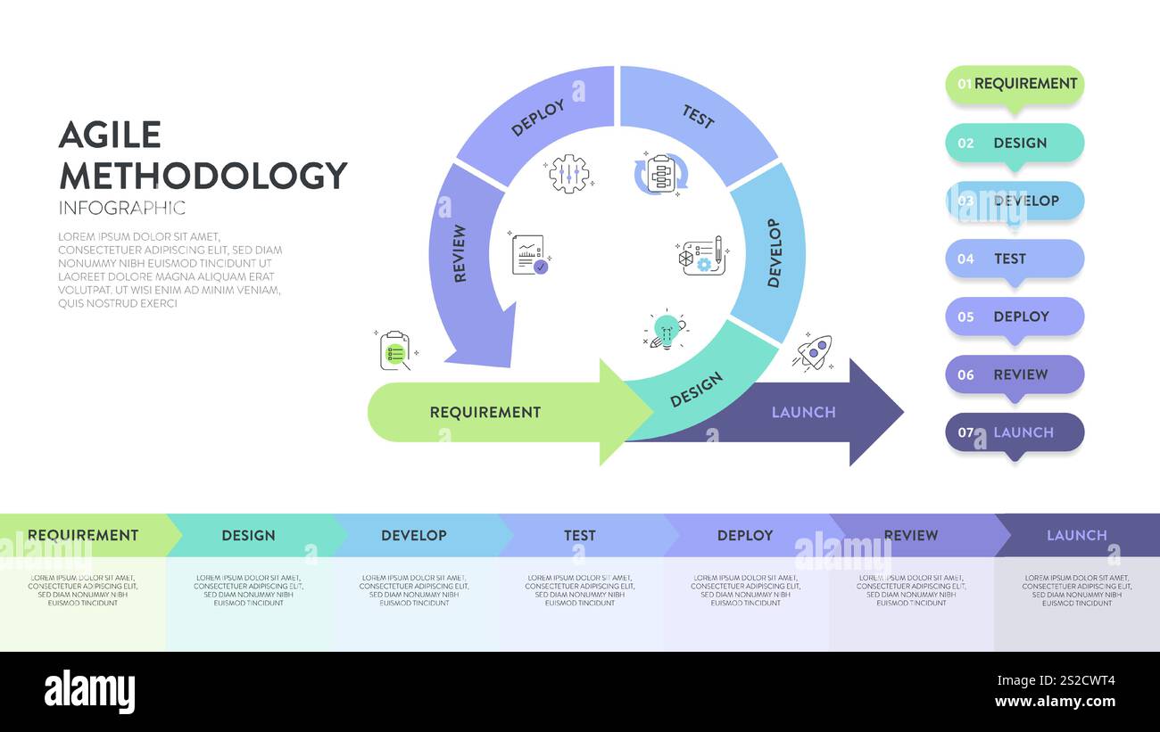 Die Infografik „Agile Lifecycle Methodology“ ist ein Prozess zur Erstellung und Reaktion auf Veränderungen. Lebenszyklus der Produktentwicklung und Agile Methodology. Proz Stock Vektor
