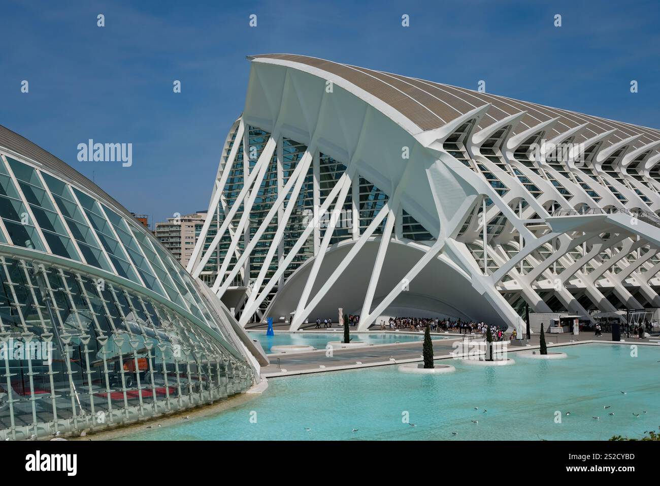 Juni 2024. Valencia. Spanien. Naturwissenschaftliches Museum. Touristengruppen in der Ferne. Stadt der Künste und Wissenschaften. Stockfoto