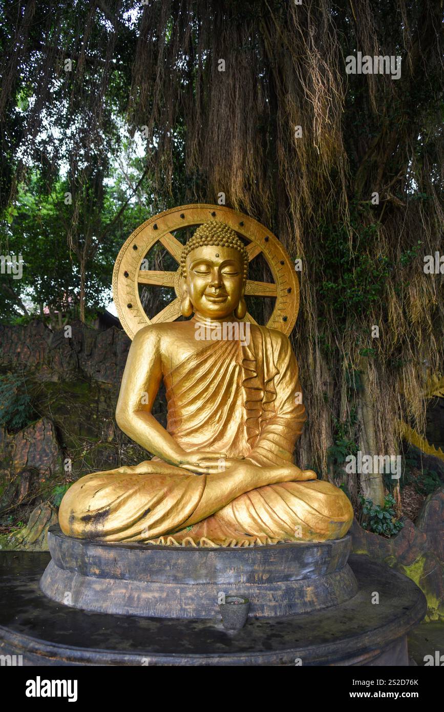 Nahaufnahme einer goldenen Buddha-Statue, Vihara Ratanavana Arama Tempel, Lasem Rembang, Zentral-Java, Indonesien Stockfoto
