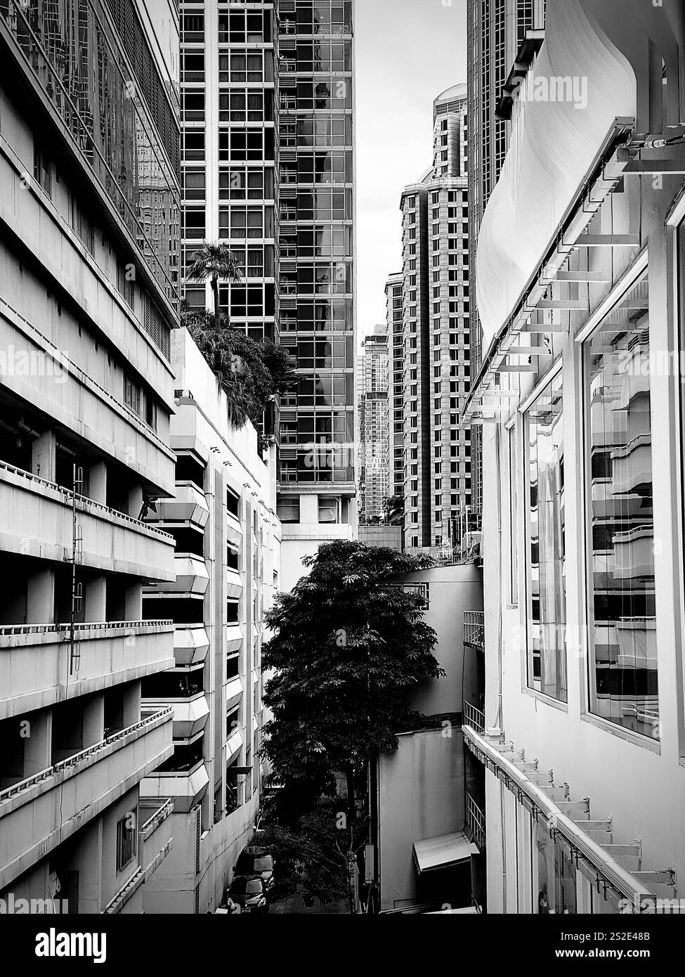 Dieses Schwarzweiß-Bild zeigt eine enge Gasse, die von hohen modernen Gebäuden in Sukhumvit, Bangkok, flankiert wird und die dichte städtische Umgebung mit zeigt Stockfoto