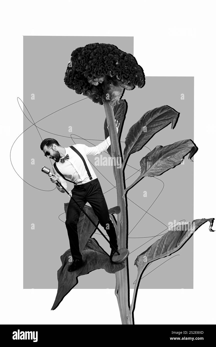 Collage-Foto eines jungen Sängers, cooler Star-Darsteller, hält Mikrofon, Serenade Bühnenkonzert, große frische Blume, isoliert auf gemaltem Hintergrund Stockfoto