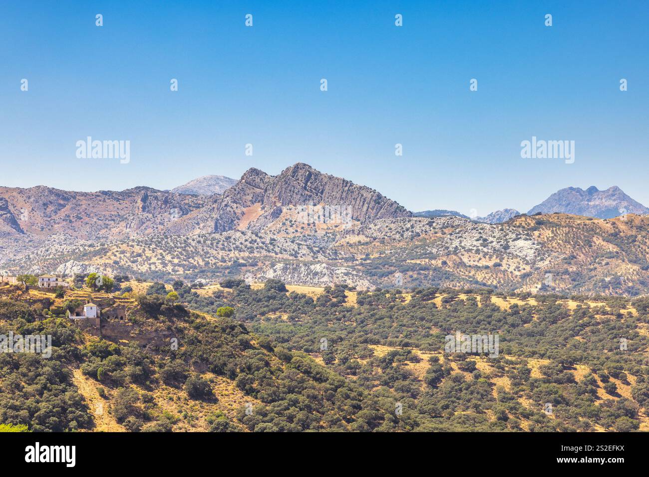 Das bergige Land Andalusiens in der Nähe der Stadt Ronda in Spanien. Ruhige Berglandschaft unter einem klaren blauen Himmel. Sanfte Hügel und weit entfernte Gipfel bilden einen Stockfoto