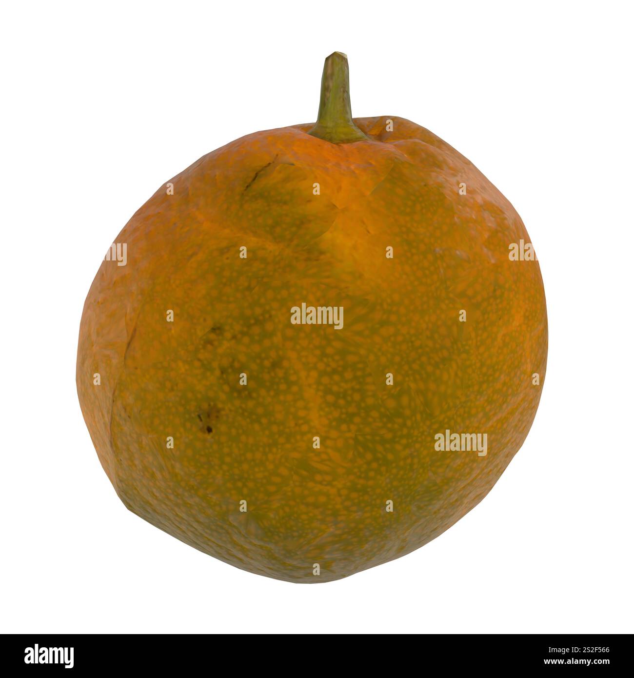 Diese leuchtend orange Frucht hat eine raue Textur und einen grünen Stiel, isoliert auf weiß. Stockfoto