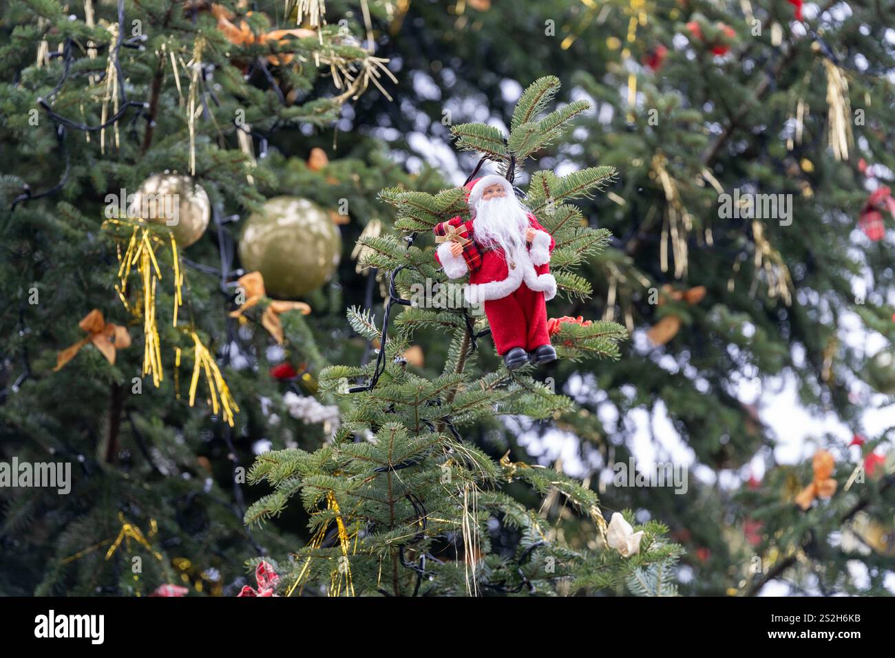 Lustiges Weihnachtsmannsschmuck hängt an einem Weihnachtsbaum im Freien Stockfoto