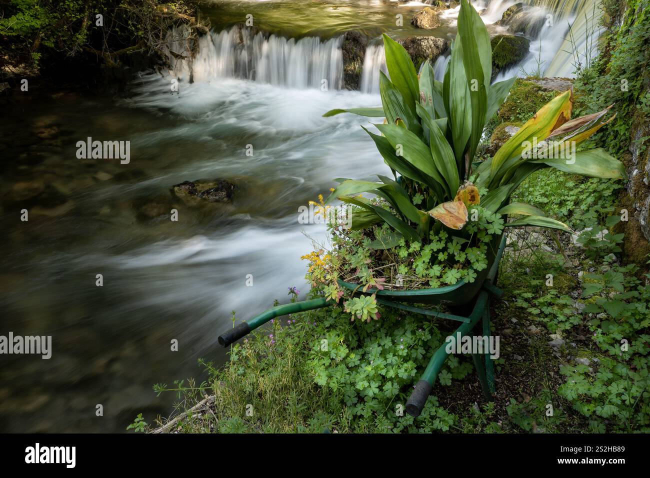 Ruhige Naturszene mit einem fließenden Bach, üppigem Grün und einer grünen Schubkarre, die als Pflanzgefäß mit lebendigen Pflanzen und Blumen umfunktioniert wurde Stockfoto