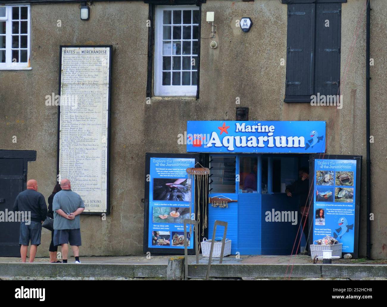 Lyme Regis Marine Aquarium, The Cobb, Lyme Regis, Jurassic Coast, Dorset, England, Großbritannien Stockfoto