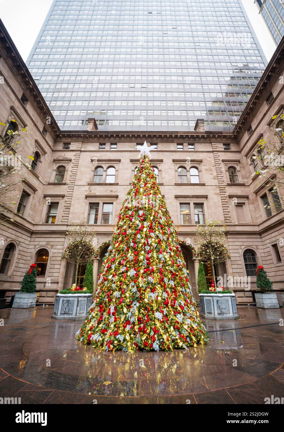 Lotte New York Palace Hotel, mit Weihnachtsdekoration und Weihnachtsbaum Manhattan, New York City New York, USA Stockfoto