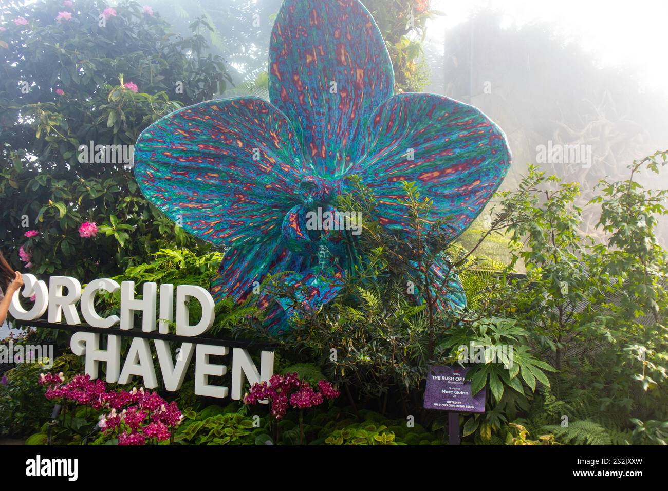 Cloud Forest, Gärten an der Bucht, Singapur Stockfoto