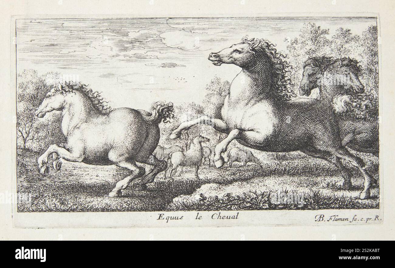 Albert Flamen, Heste, Stockfoto