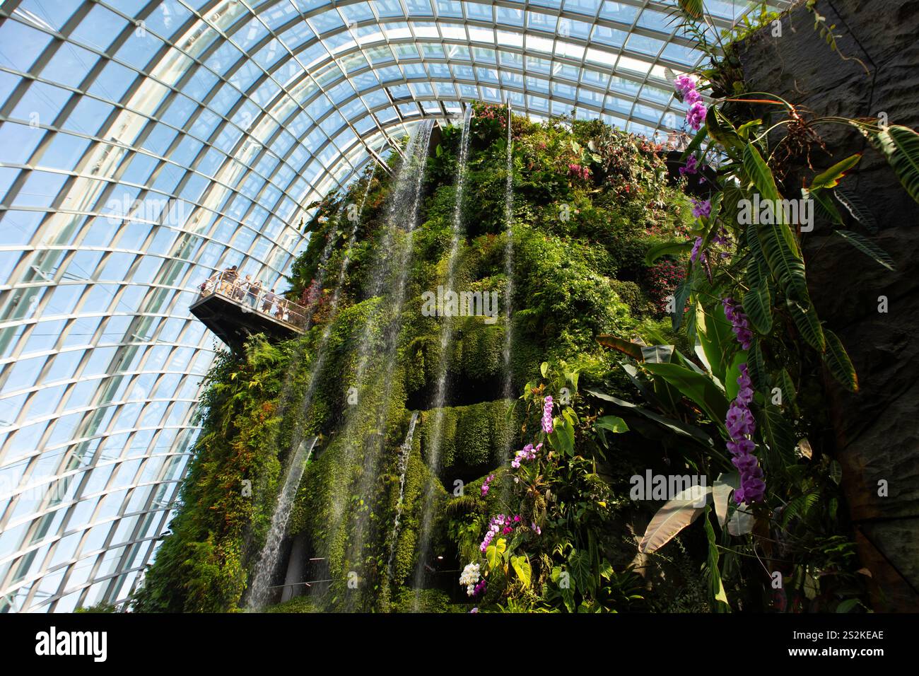 Cloud Forest, Gärten an der Bucht, Singapur Stockfoto