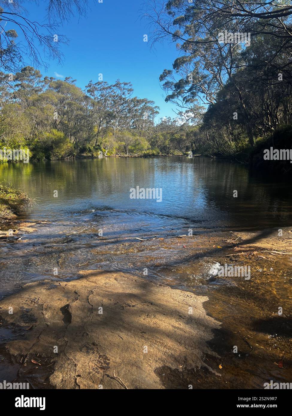 Australian Bush Lands National Park Stock Images New South Wales - Smartphone-aufgenommenes Stockfoto