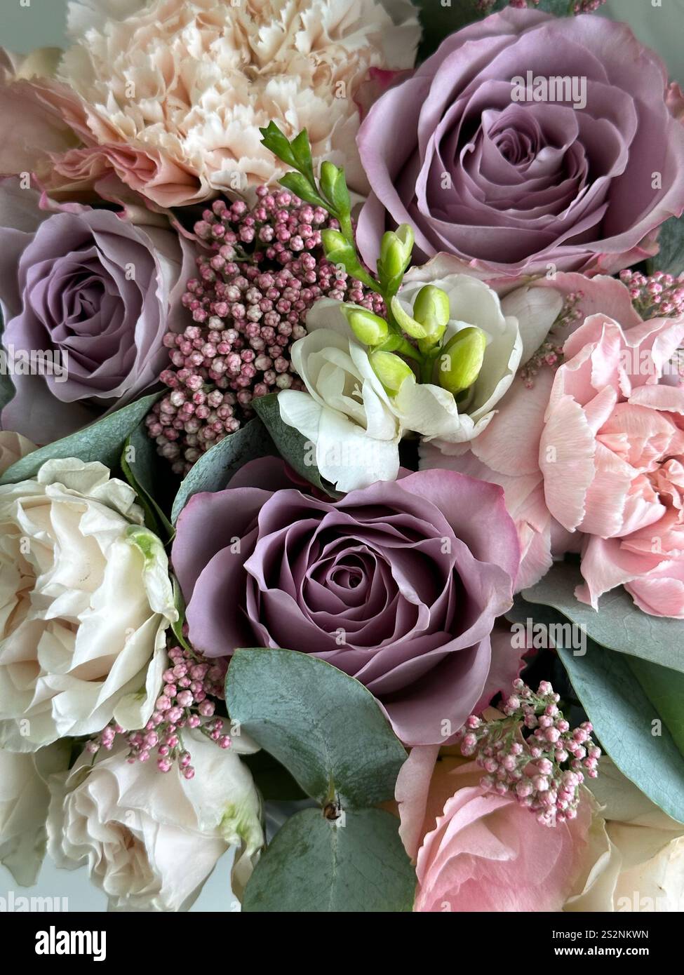 Bouquet aus violetten Rosen, Nelken, Eustoma, Freesie und Eukalyptus - Smartphone-aufgenommenes Stockfoto