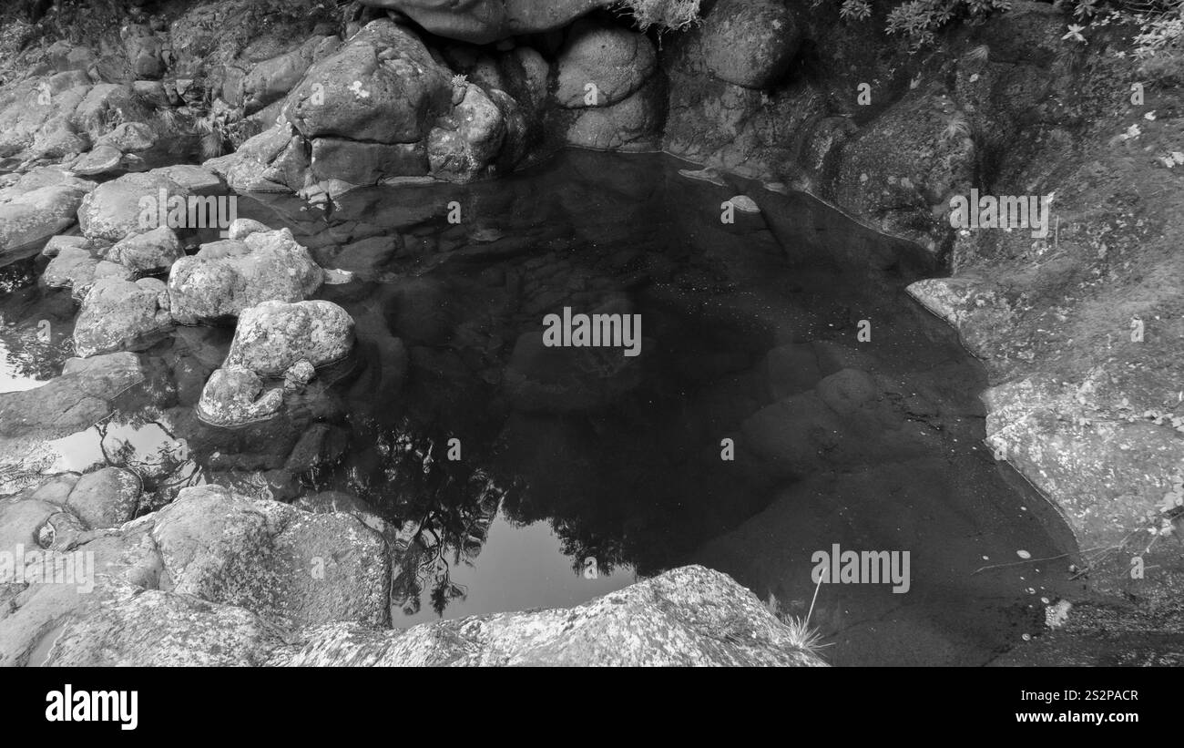 Ein Schwarzweiß-Bild eines ruhigen Felsenpools, umgeben von zerklüfteten Steinen und reflektierender überhängender Vegetation in einer natürlichen Umgebung. Stockfoto