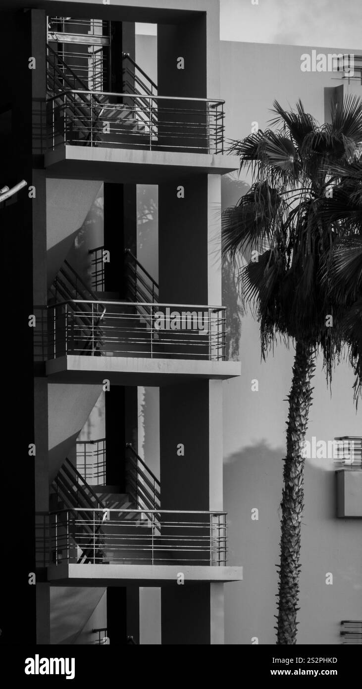 Ein schwarzweißes architektonisches Detail eines modernen Gebäudes mit Balkonen und einer hohen Palme im Vordergrund, die eine Mischung aus urbanem und natürlichem schafft Stockfoto